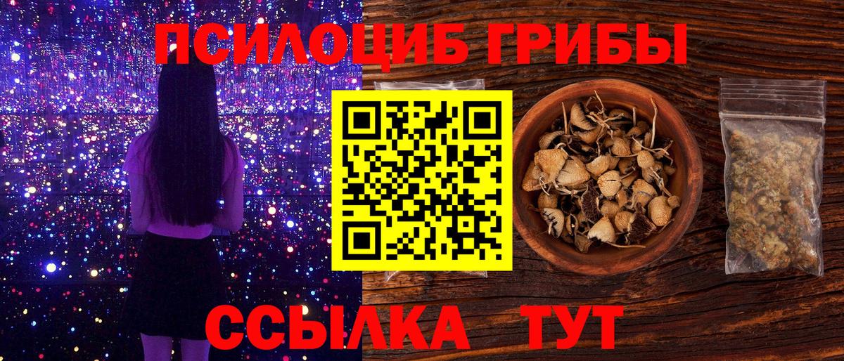 Галлюциногенные грибы Cubensis Шадринск